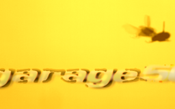 fly