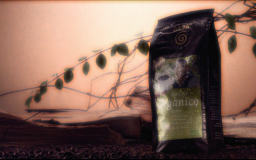 Organico-Kaffee