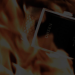 Ohsen-HOT